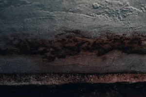 How to Fix Wood Floor Damaged by Water