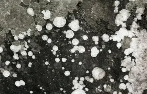 Water Damage Cause Mold​
