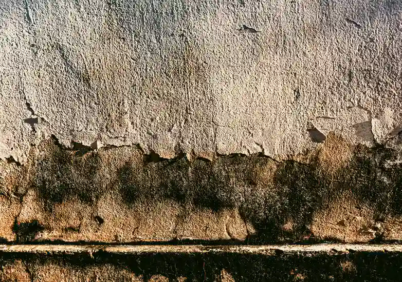 Water Damage Restoration