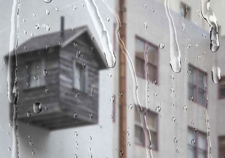 What Should I Do Immediately After Water Damage