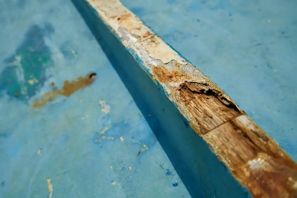 Water Damage Restoration