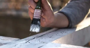 Get Rid of Black Mold