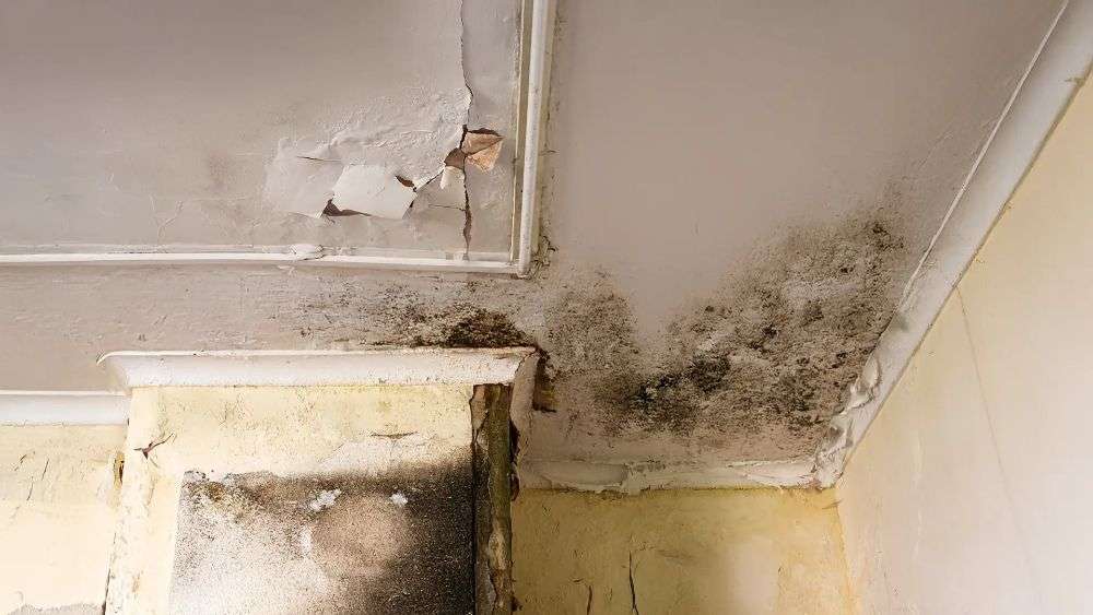 Hidden Water Damage in Walls