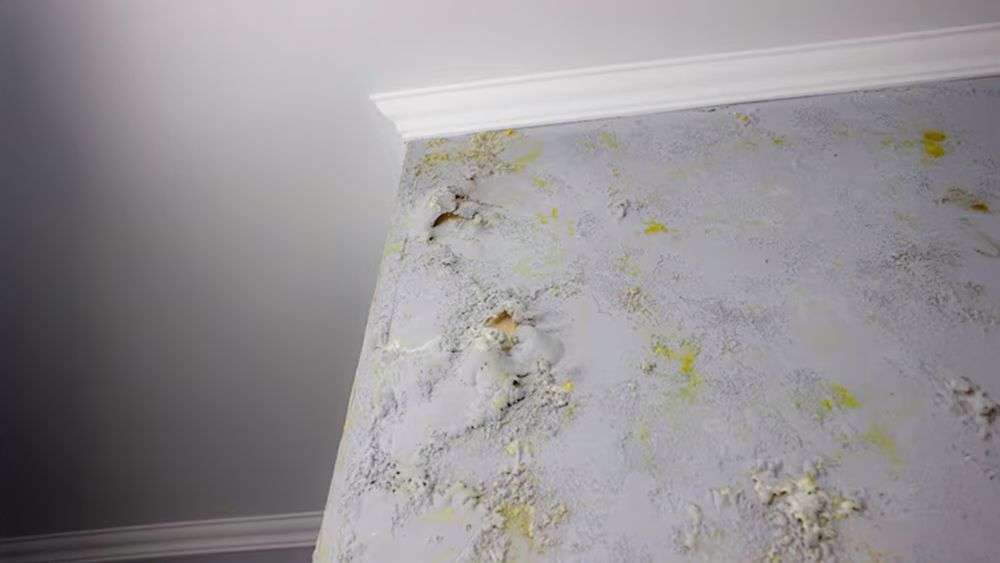 Wall Water Damage from Rain