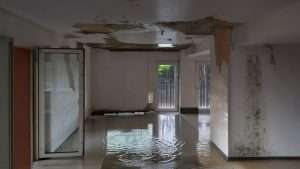Water Damage vs Flood Damage