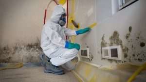 Why Mold Remediation Should Be Part of Your Water Damage Restoration Plan