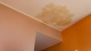 Dangers of Ignoring Ceiling Leaks and Water Stains
