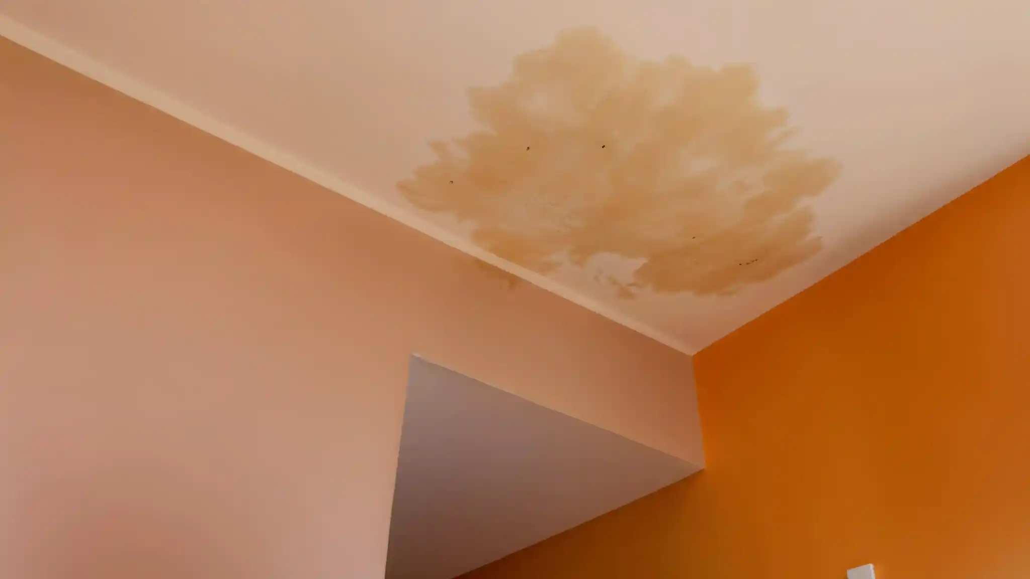 Dangers of Ignoring Ceiling Leaks and Water Stains
