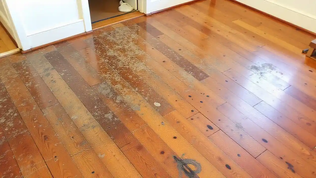 Insight Restoration Expert Tips to Revive Water-Damaged Wooden Furniture and Floors