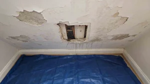 Does water damaged plaster need replacing