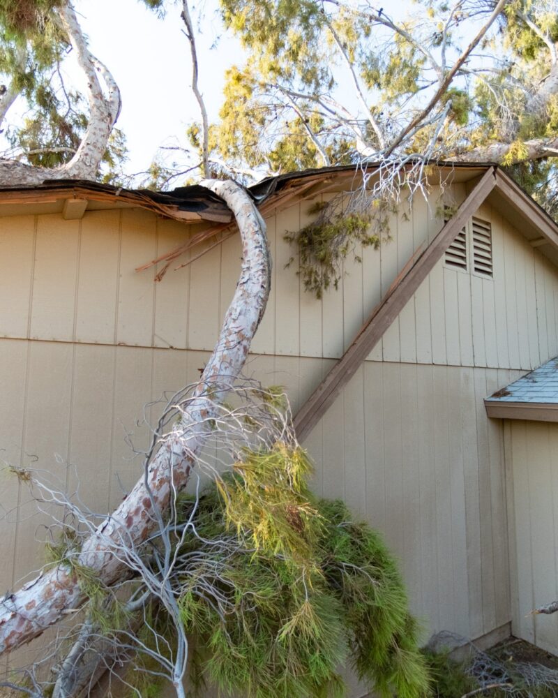 Storm Damage